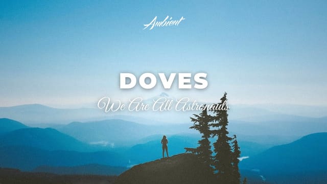 We Are All Astronauts — Doves thumbnail
